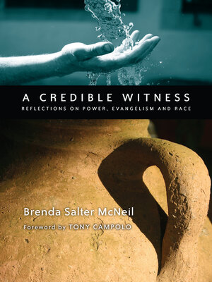 cover image of A Credible Witness